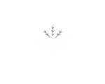 royal oak logo